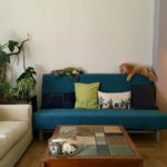 Room to rent, Exarchia, (Athens, Greece) Gallery Image